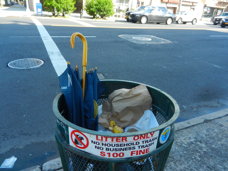 Discarded Umbrella Carcasses, NYC