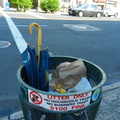 Discarded Umbrella Carcasses, NYC