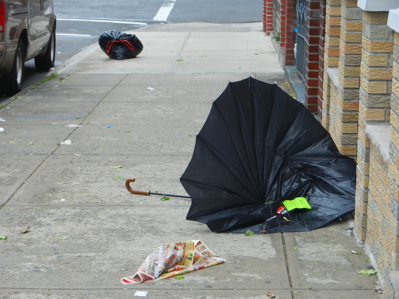 Discarded Umbrella Carcasses, NYC