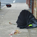 Discarded Umbrella Carcasses, NYC