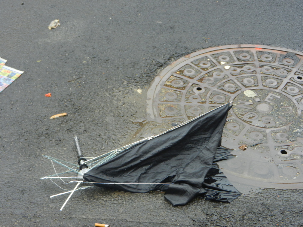 Discarded Umbrella Carcasses, NYC