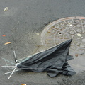 Discarded Umbrella Carcasses, NYC