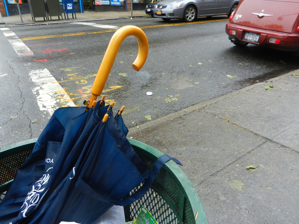 Discarded Umbrella Carcasses, NYC