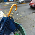 Discarded Umbrella Carcasses, NYC