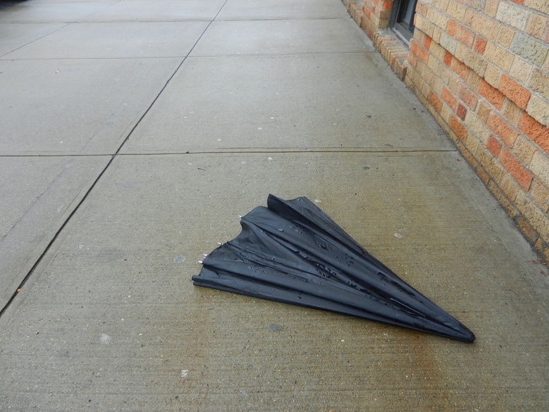 Discarded Umbrella Carcasses, NYC