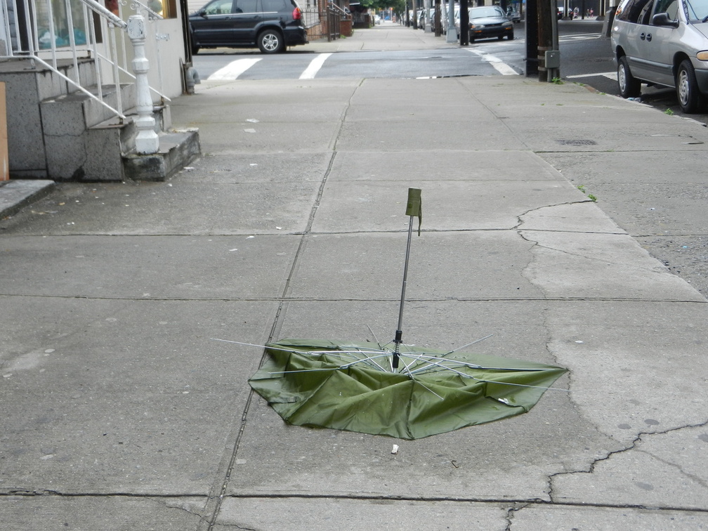 Discarded Umbrella Carcasses, NYC