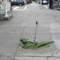 Discarded Umbrella Carcasses, NYC