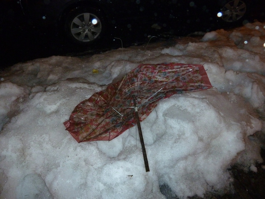 Discarded Umbrella Carcasses, NYC