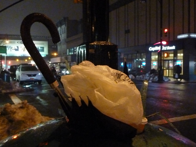 Discarded Umbrella Carcasses, NYC