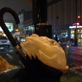 Discarded Umbrella Carcasses, NYC