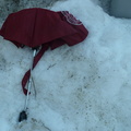 Discarded Umbrella Carcasses, NYC