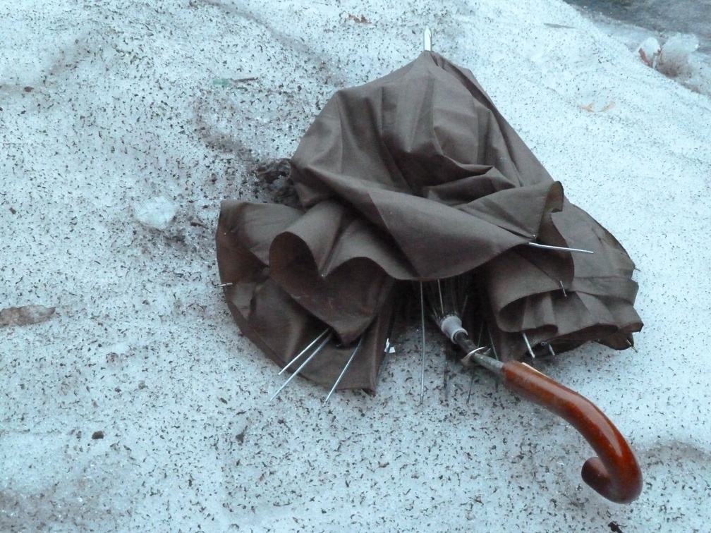 Discarded Umbrella Carcasses, NYC