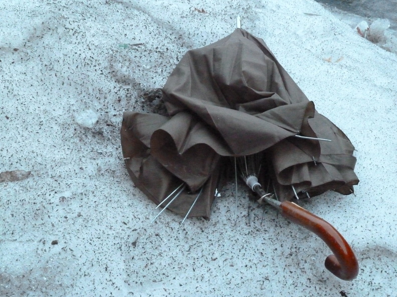 Discarded Umbrella Carcasses, NYC