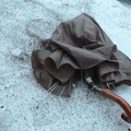 Discarded Umbrella Carcasses, NYC