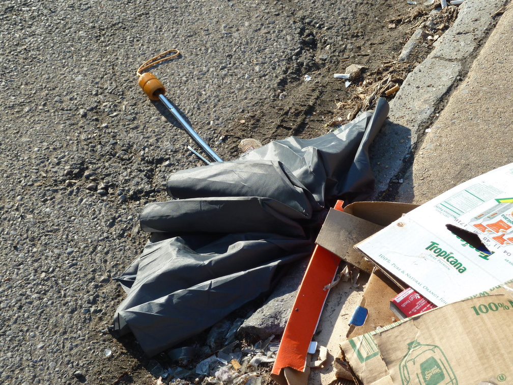 Discarded Umbrella Carcasses, NYC