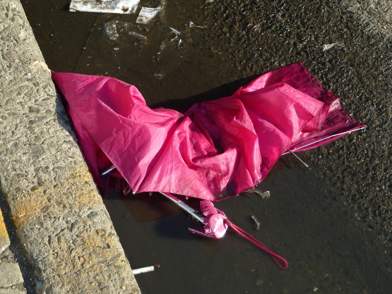 Discarded Umbrella Carcasses, NYC