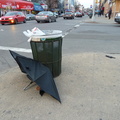 Discarded Umbrella Carcasses, NYC