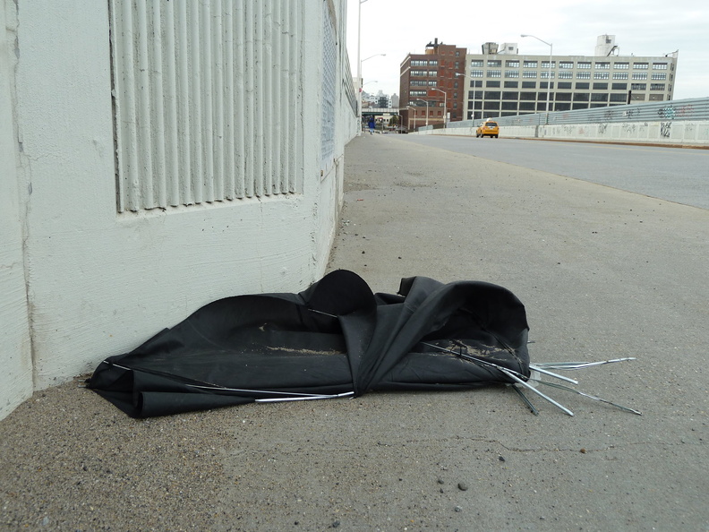 Discarded Umbrella Carcasses, NYC