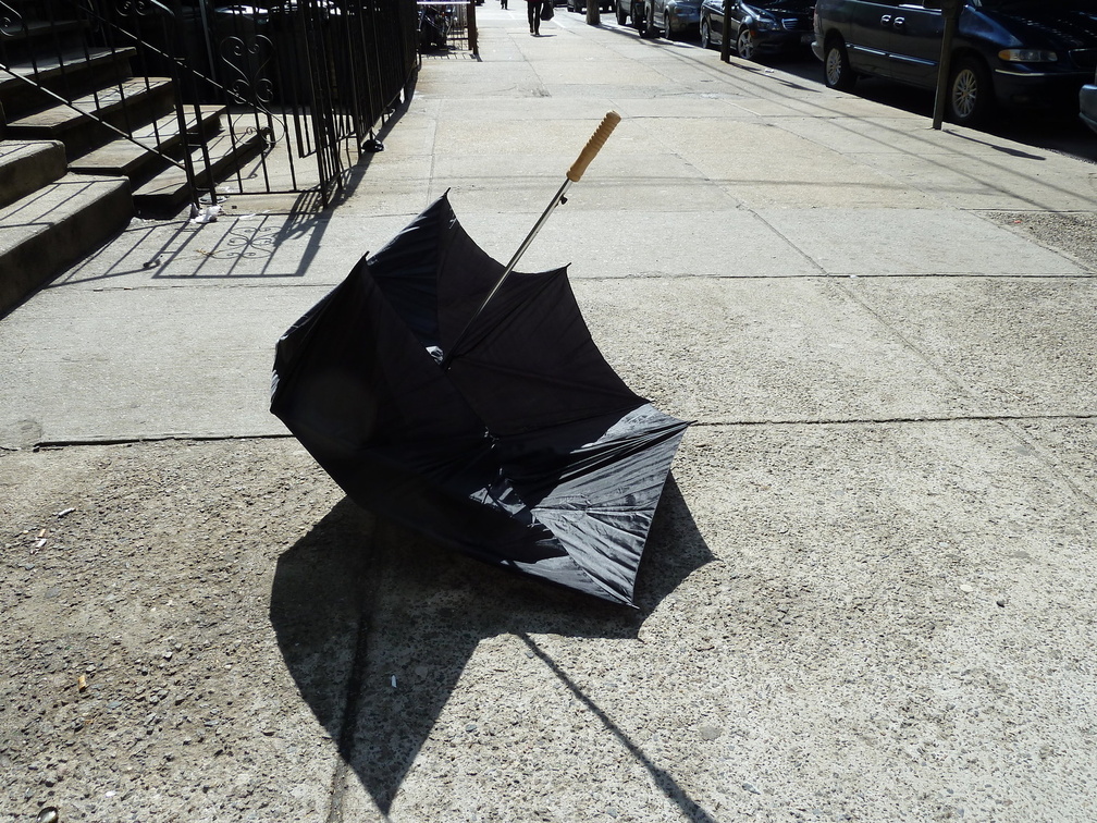 Discarded Umbrella Carcasses, NYC