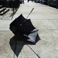 Discarded Umbrella Carcasses, NYC