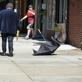 Discarded Umbrella Carcasses, NYC