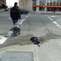 Discarded Umbrella Carcasses, NYC