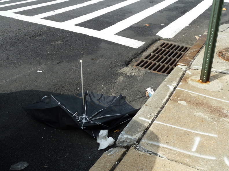 Discarded Umbrella Carcasses, NYC