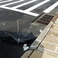 Discarded Umbrella Carcasses, NYC