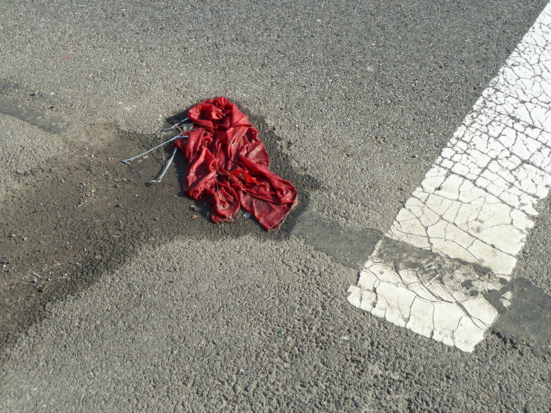 Discarded Umbrella Carcasses, NYC