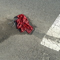 Discarded Umbrella Carcasses, NYC