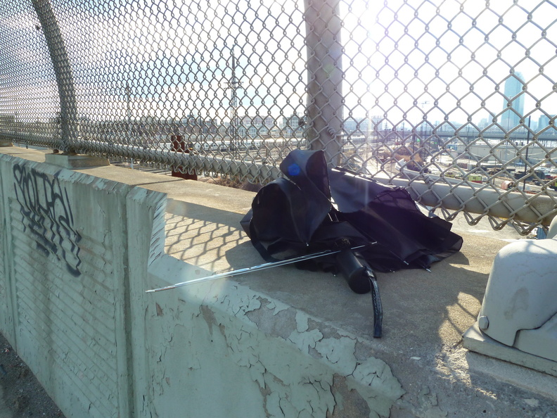 Discarded Umbrella Carcasses, NYC