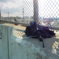 Discarded Umbrella Carcasses, NYC