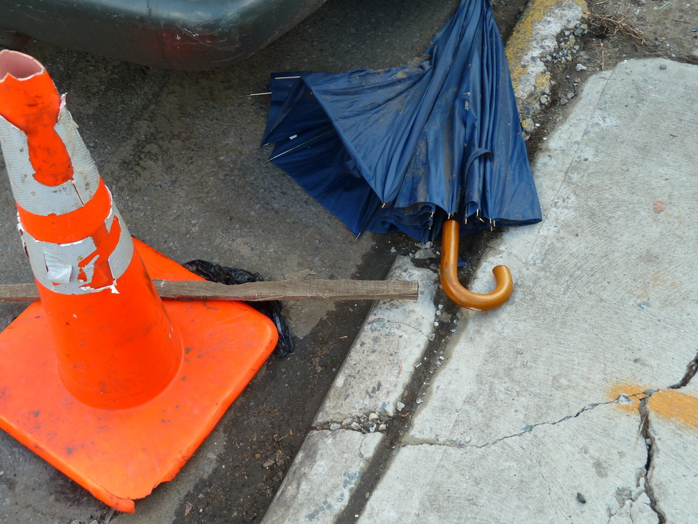 Discarded Umbrella Carcasses, NYC