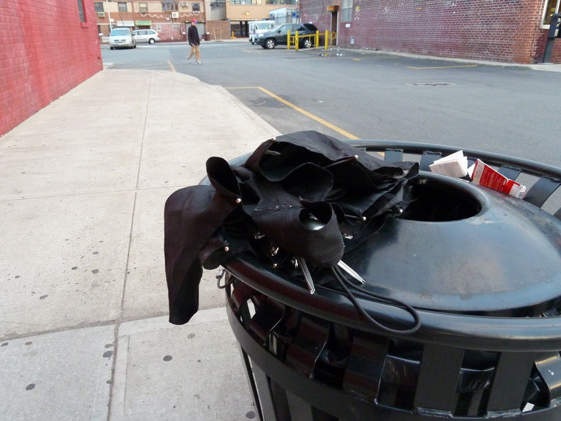 Discarded Umbrella Carcasses, NYC