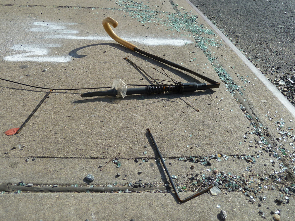 Discarded Umbrella Carcasses, NYC