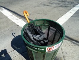 Discarded Umbrella Carcasses, NYC