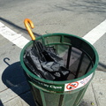 Discarded Umbrella Carcasses, NYC