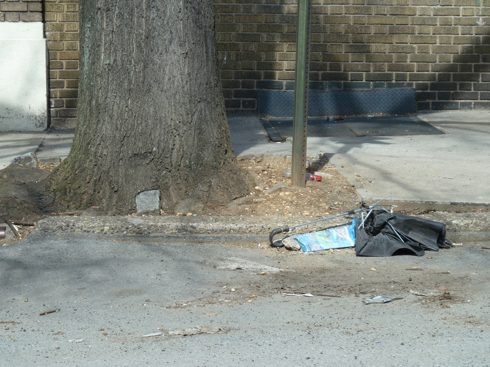 Discarded Umbrella Carcasses, NYC