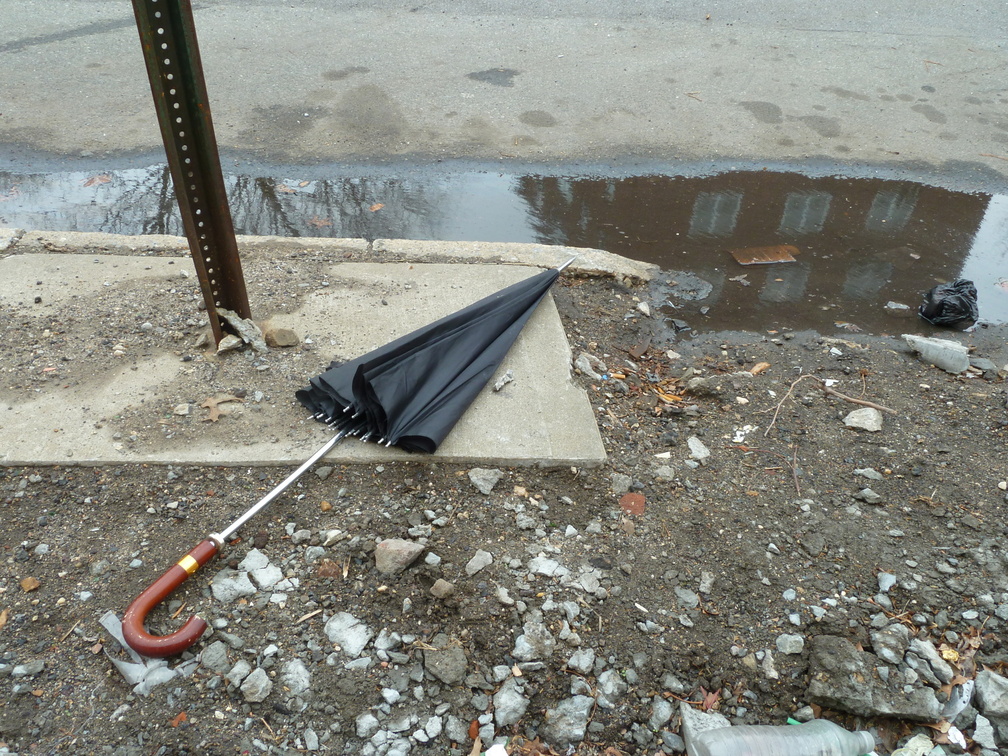 Discarded Umbrella Carcasses, NYC