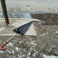 Discarded Umbrella Carcasses, NYC