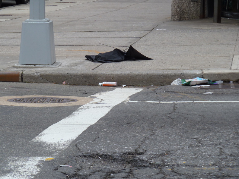 Discarded Umbrella Carcasses, NYC