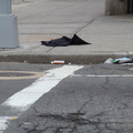 Discarded Umbrella Carcasses, NYC