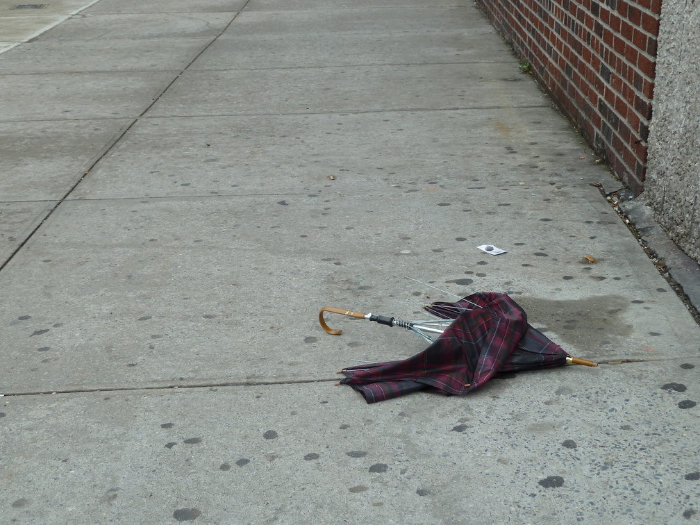 Discarded Umbrella Carcasses, NYC