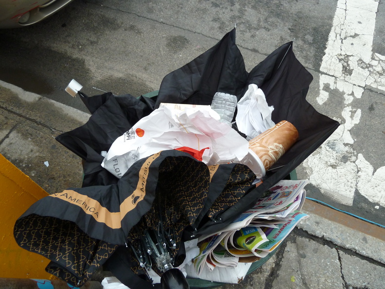 Discarded Umbrella Carcasses, NYC