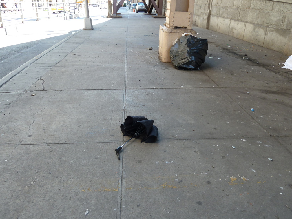 Discarded Umbrella Carcasses, NYC