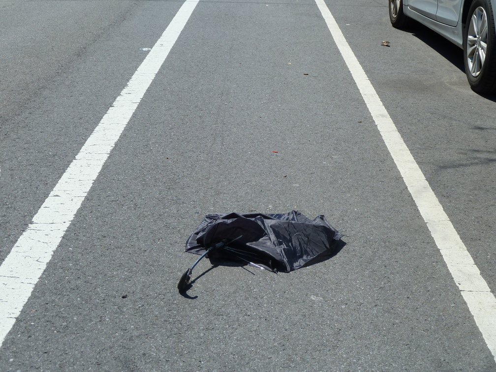 Discarded Umbrella Carcasses, NYC