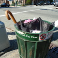 Discarded Umbrella Carcasses, NYC