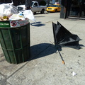 Discarded Umbrella Carcasses, NYC