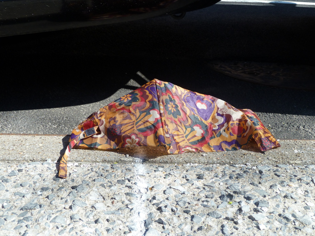 Discarded Umbrella Carcasses, NYC