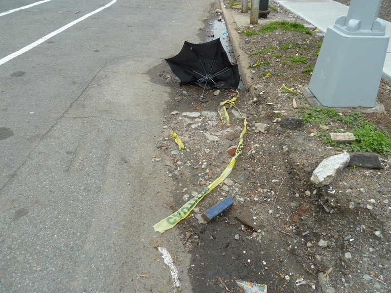 Discarded Umbrella Carcasses, NYC